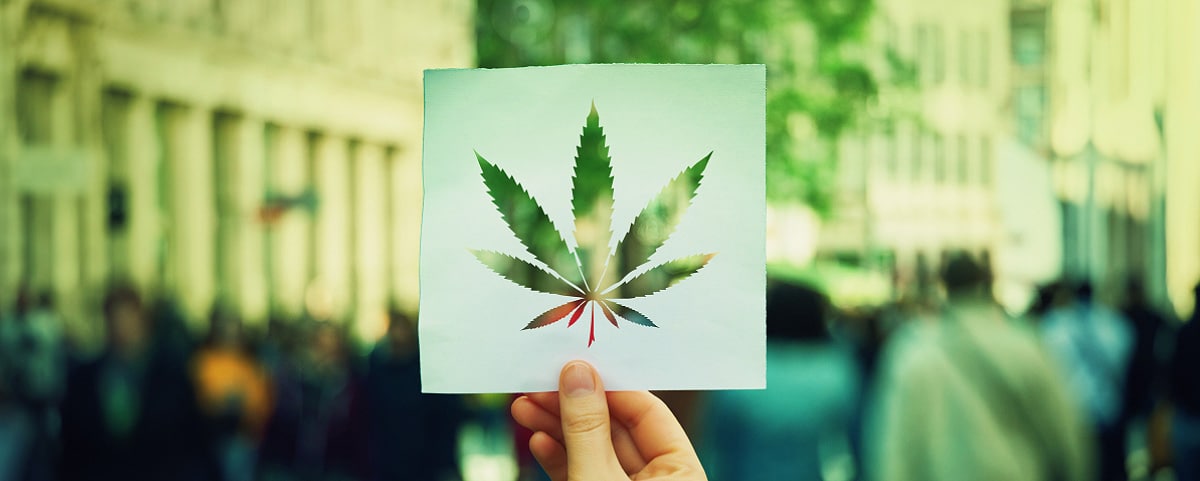 Hanf und Cannabis: verstehen Sie den Unterschied