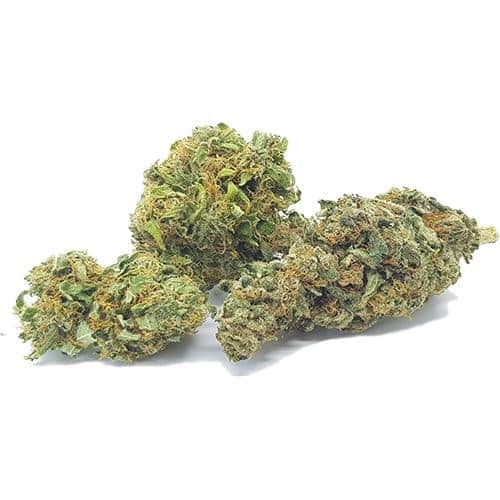 Bonnie & Clyde Candy Kush 1, Cannabis Légal