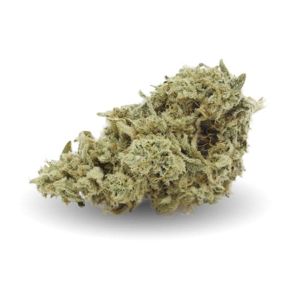 EasyWeed Black 3, Legales Cannabis