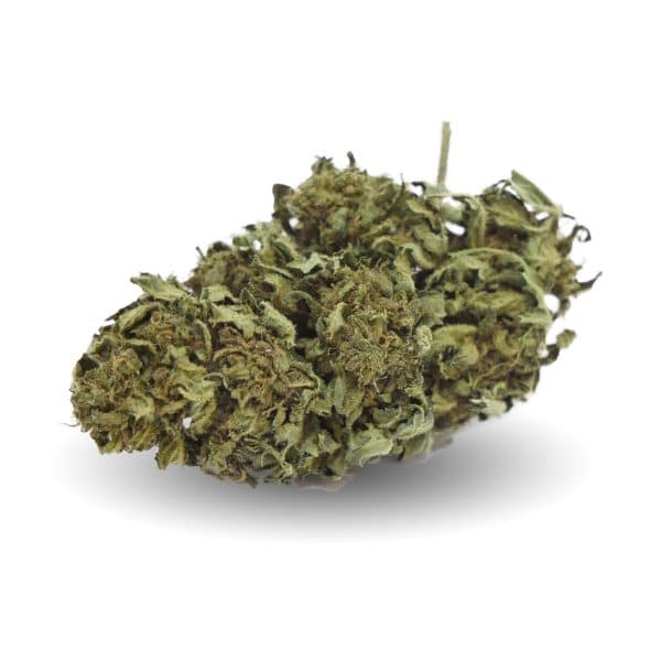EasyWeed Green 1, Legal Cannabis