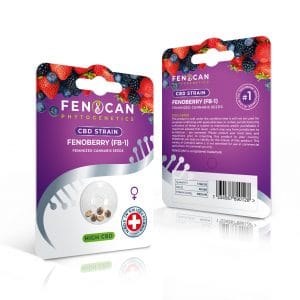 Fenocan Fenoberry (FB-1), CBD Samen