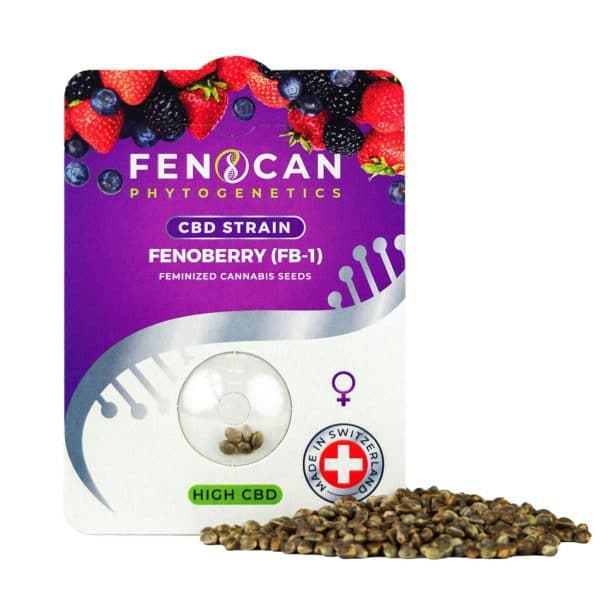 Fenocan Fenoberry (FB-1) 1, Cannabis anbauen