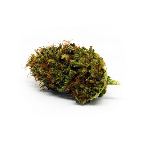 Ganjah Curly Genie 1, Cannabis Légal