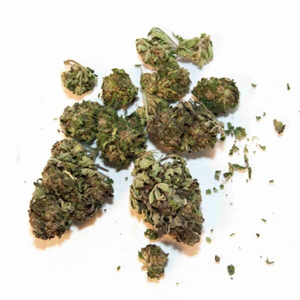 Hempy Charlotte's Web 1, Cannabis Légal
