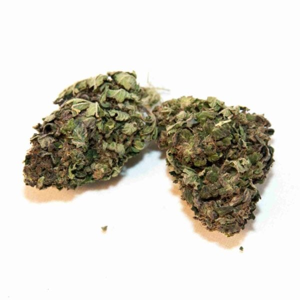Hempy Charlotte's Web 3, Cannabis Légal