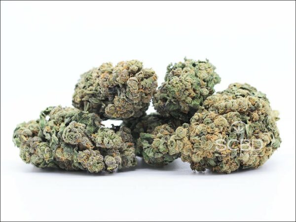 SCBD Labs Harlequin 1, Legales Cannabis