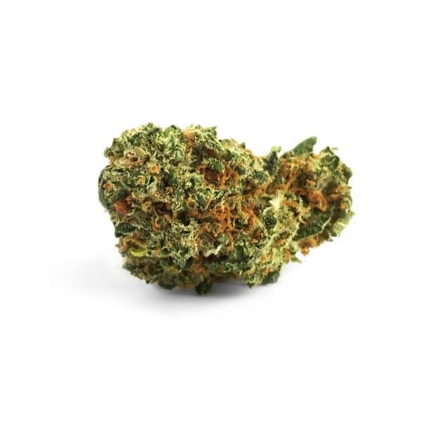 Sinsemilla 24K 1, Cannabis Légal