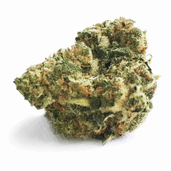 Sinsemilla Frosty 1, Legal Cannabis