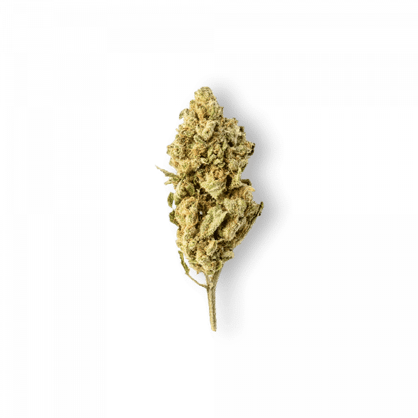 Green Passion Harlequin Popcorn 1, Legales Cannabis