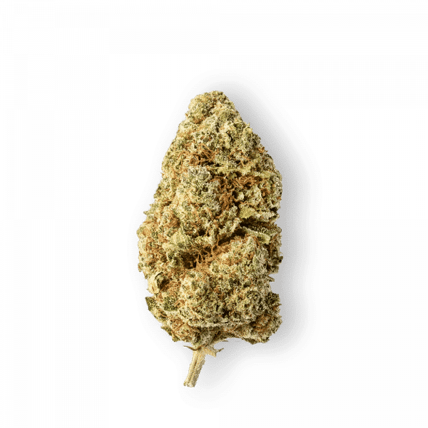 Green Passion Orange Passion 1, Legales Cannabis
