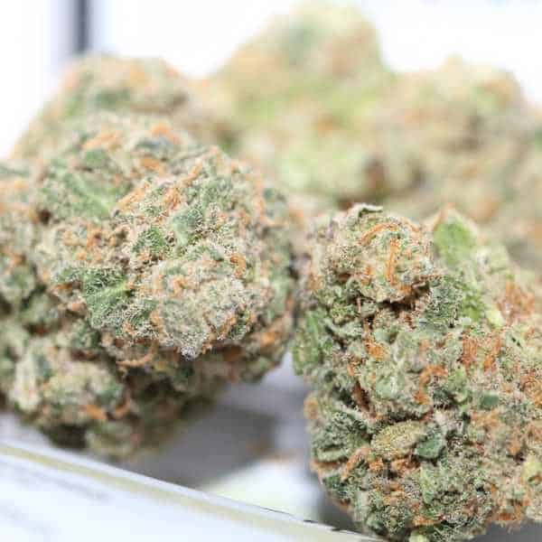 Genuine Swiss Blue Berry Bud 1, Cannabis Légal