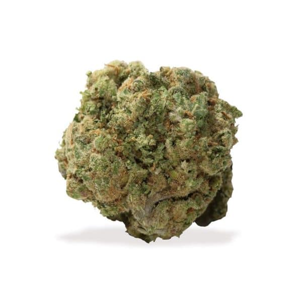 Genuine Swiss Orange Bud 1, Cannabis Légal