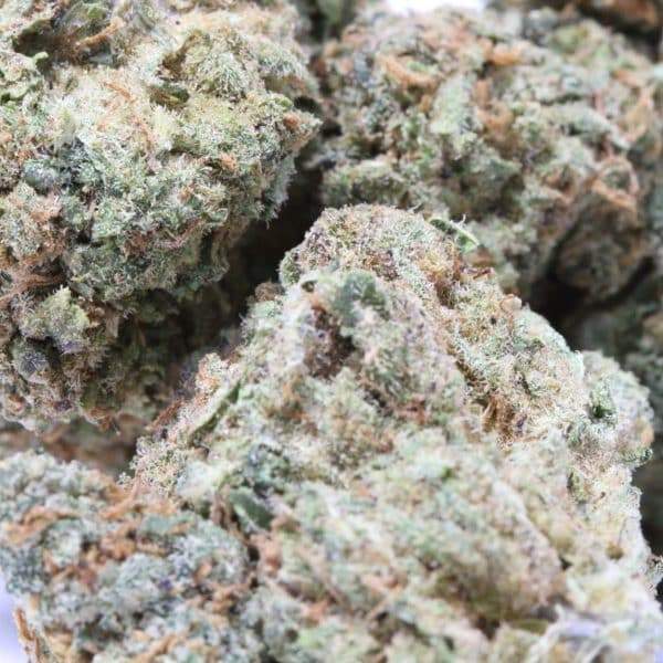 Genuine Swiss Orange Bud 3, Cannabis Légal