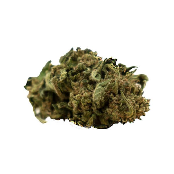 Herba di Berna Cannatonic 1, Legal Cannabis