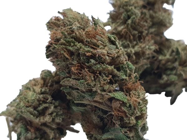Paradise Weeds Crystal Kush 2, Cannabis Légal