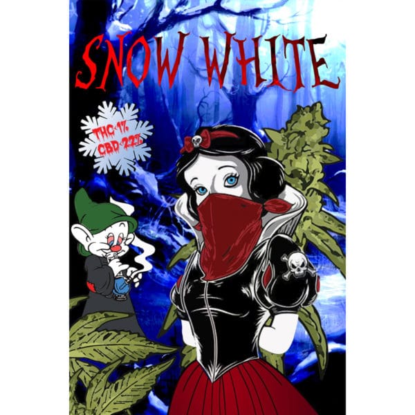 Paradise Weeds Snow White 1, Legales Cannabis