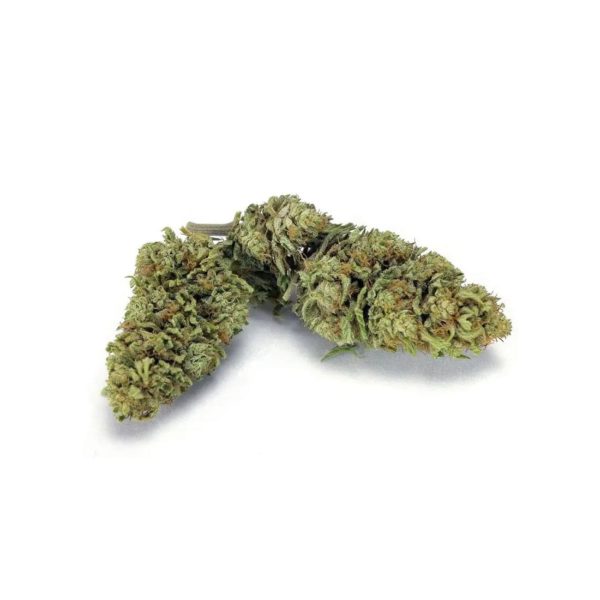 1807 BIS The Mother CBG 2, Cannabis Légal