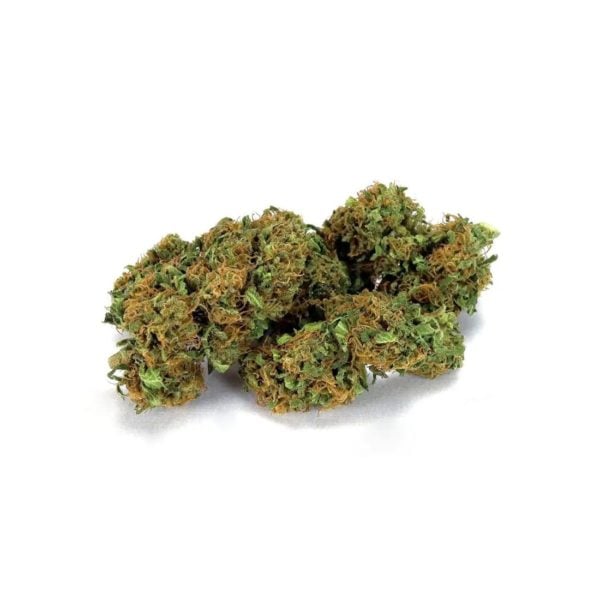 1807 BIS The Orange 2 2, Cannabis Légal