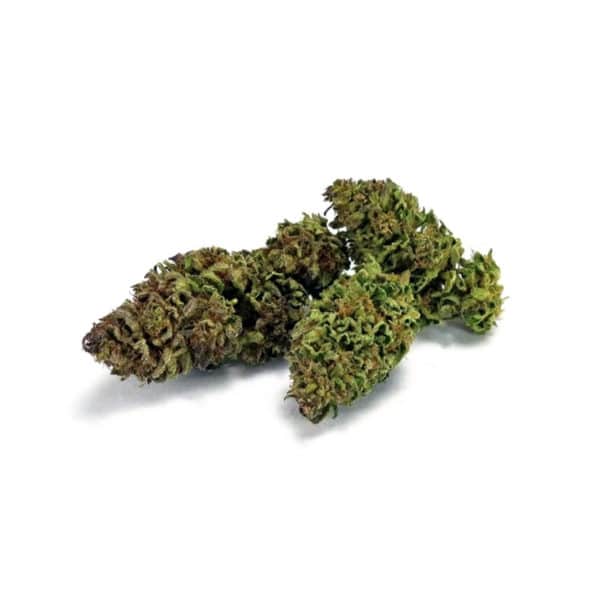 1807 BIS The V1 2, Cannabis Légal