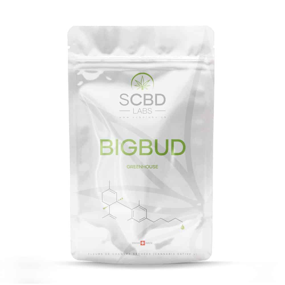 SCBD Labs Big Bud, Greenhouse