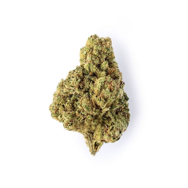 Green Passion OG Cookies (Edition Limitée) 1, Cannabis Légal