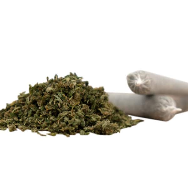 Herba di Berna V1 & Harlequin Trim Pre Rolls 1, Legales Cannabis