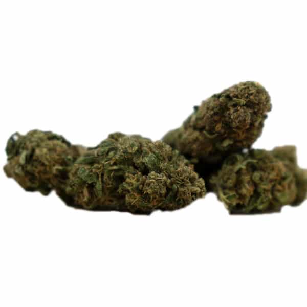 Herba di Berna Orangello (Limited Edition) 2, Legales Cannabis