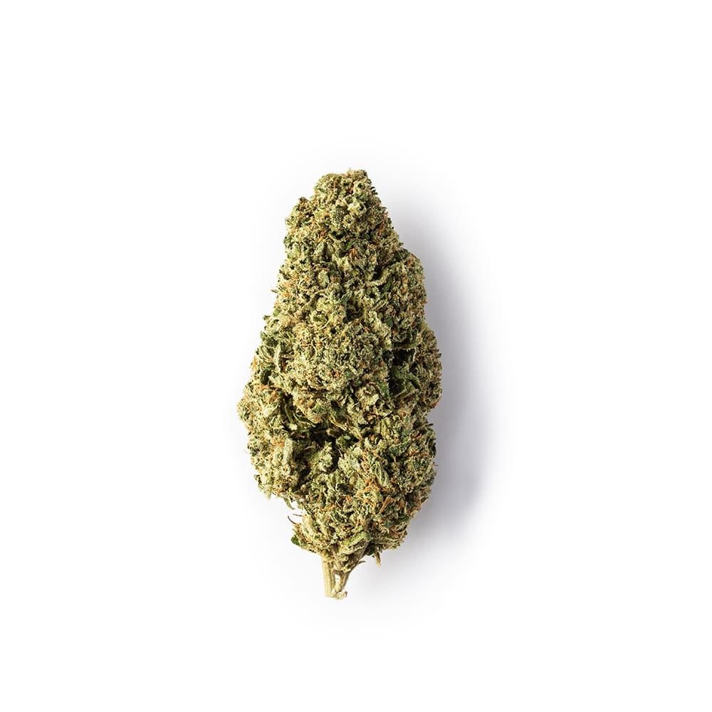 Green Passion Amnesia, Cannabis