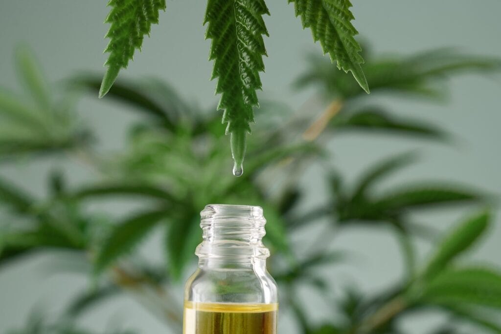 Ein Öltropfen, der von einem Cannabisblatt in eine Flasche mit CBD-Öl fällt, symbolisiert die Extraktion von Cannabidiol