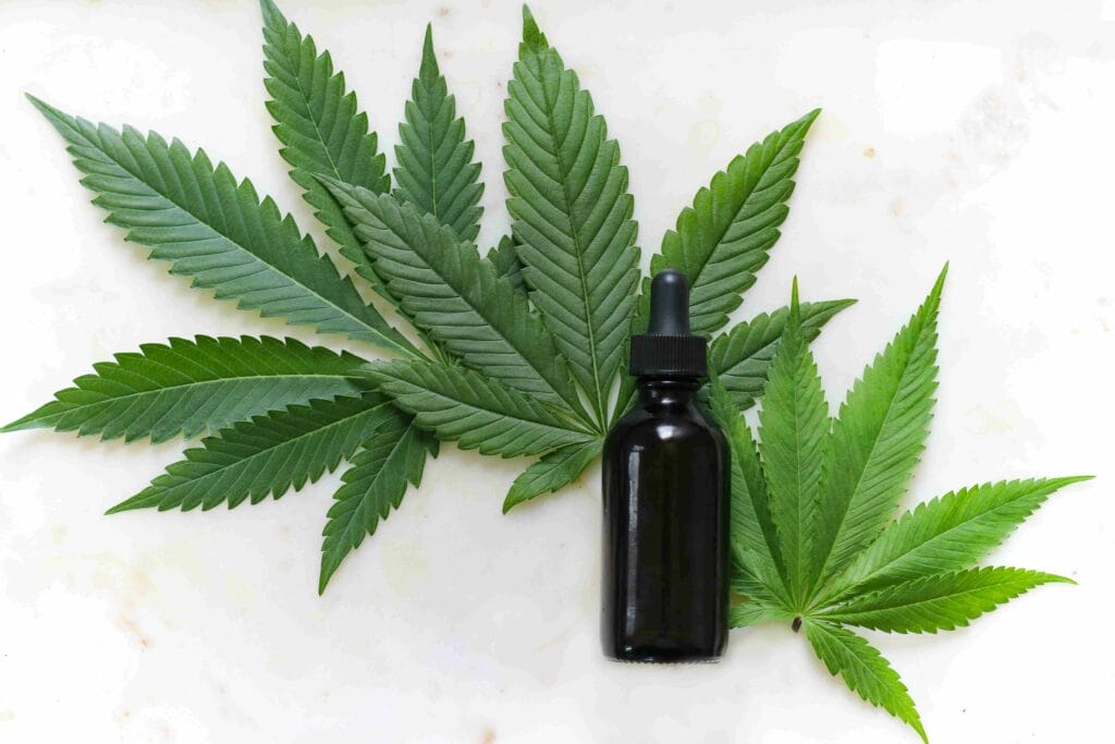 CBG Öl welches auf Cannabispflanzen stemmt