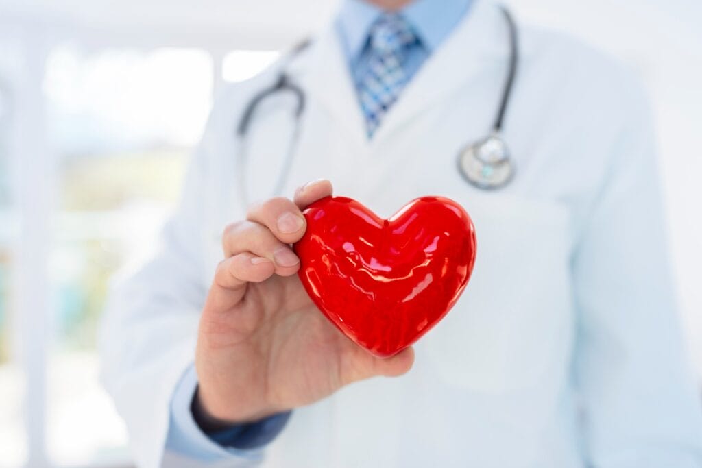 Ein Arzt hält ein Herz in der Hand, um CBD und kardiovaskuläre Gesundheit zu symbolisieren.