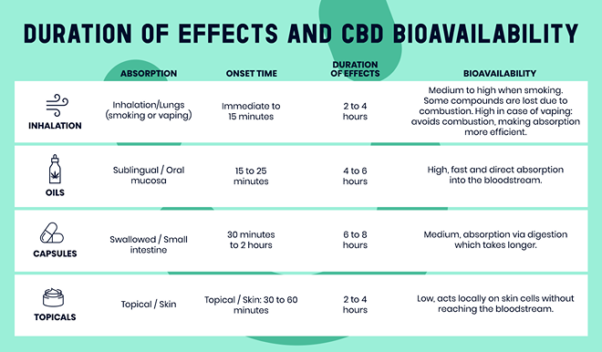 Graphic of CBD effect duration and bioavailability by absorption method