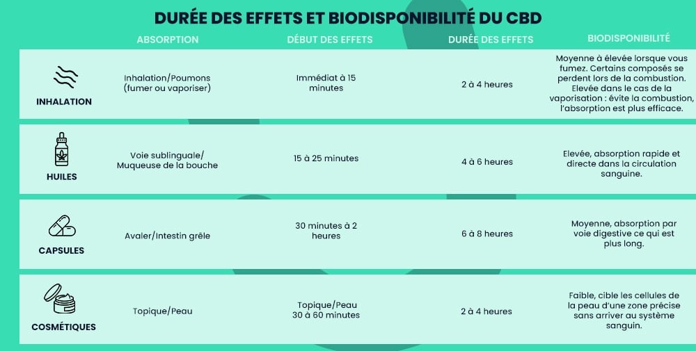 Durée des effets et biodisponibilité du CBD