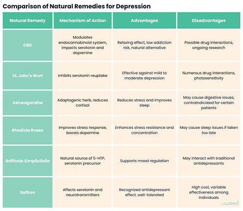 Table comparing CBD, St. John's Wort, Ashwagandha, and other natural remedies according to their mode of action, advantages, and disadvantages