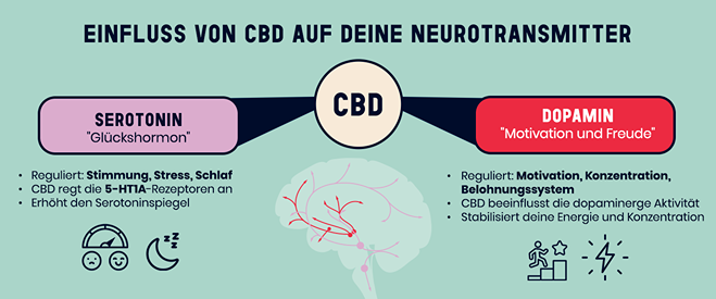Infografik, die den Einfluss von CBD auf Neurotransmitter darstellt, mit Fokus auf seine Rolle bei Serotonin und Dopamin für die Regulierung von Stimmung und Stress