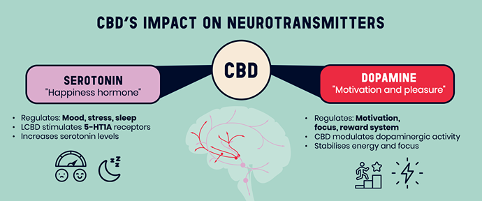 Infographic illustrating the impact of CBD on neurotransmitters, highlighting its role on serotonin and dopamine for mood and stress regulation