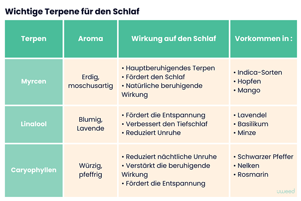 Hauptterpene des CBD für den Schlaf