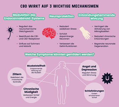 Infografik, die die drei Wirkmechanismen von CBD bei der Parkinson-Krankheit illustriert: Modulation des Endocannabinoid-Systems, Neuroprotektion und entzündungshemmende Wirkung, sowie potenziell gelinderte Symptome wie Zittern, Muskelsteifheit, chronische Müdigkeit, Angstzustände, Depression und Schlafstörungen