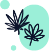 Hybrid – Genetik – Produkteigenschaft