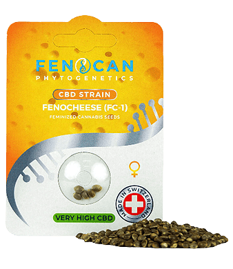 Fenocan Fenocheese CBD Seeds 2