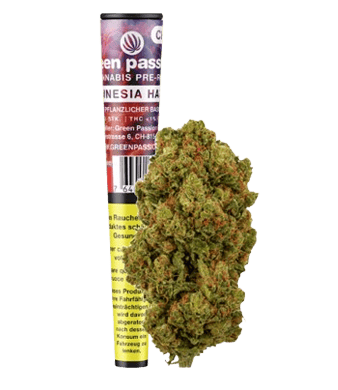Green Passion Amnesia Haze Pre-Rolls CBD Joints Indoor 1