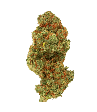Green Passion Fruit Punch CBD Flower Indoor 1