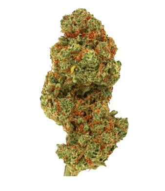 Green Passion Fruit Punch CBD Flower Indoor 2