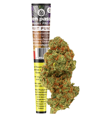 Green Passion Fruit Punch Pre-Rolls CBD Joints Indoor 1