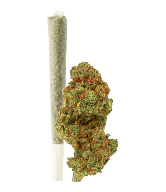 Green Passion Fruit Punch Pre-Rolls CBD Joints Indoor 2