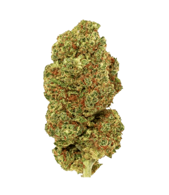 Green Passion Lemon Skunk CBD Flower Indoor 1