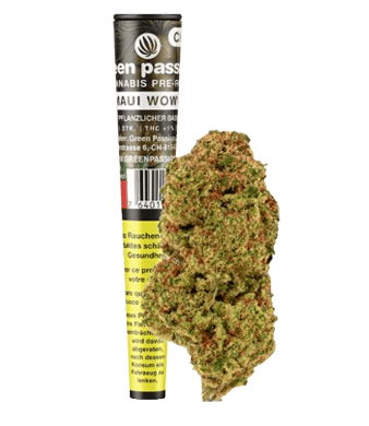 Green Passion Maui Wowy Pre-Rolls CBD Joints Indoor 1