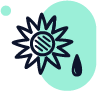 Huile porteuse huile de tournesol – attribut produit