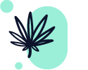Sativa – Type of Genetics – Product Attribute