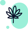 Indica – type de variété
